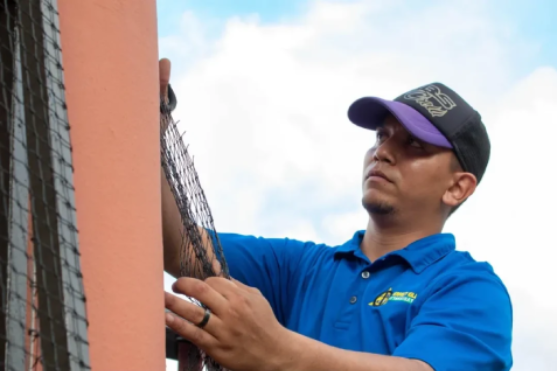 control-aves-puerto-rico eliminacion de plagas san juan puerto rico